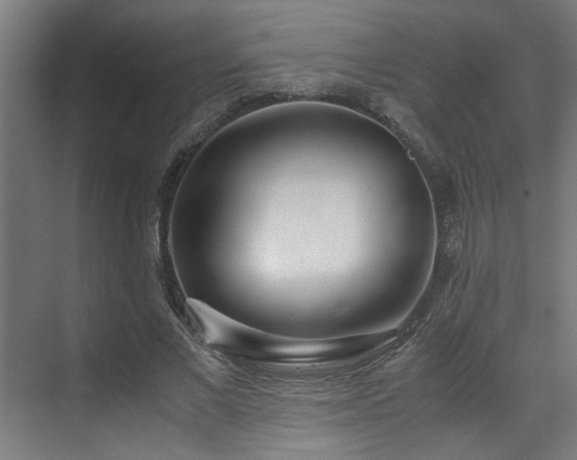 X0000072520685200607141158