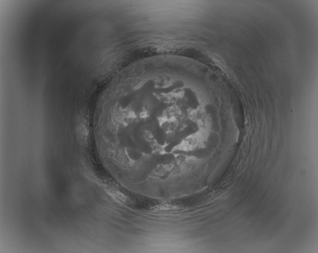 X0000072520691200607141158