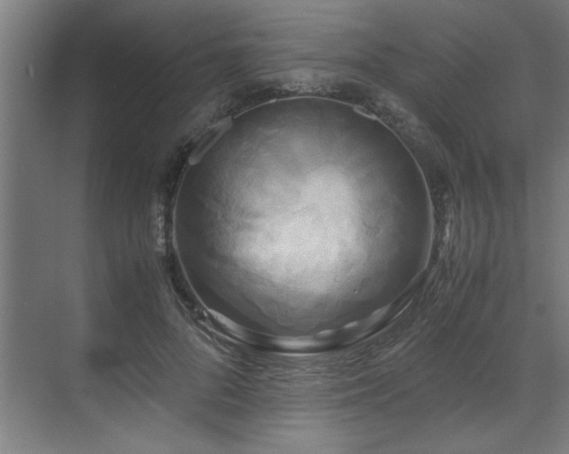 X0000072520696200607141158