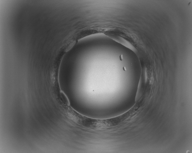 X0000072520697200607141158