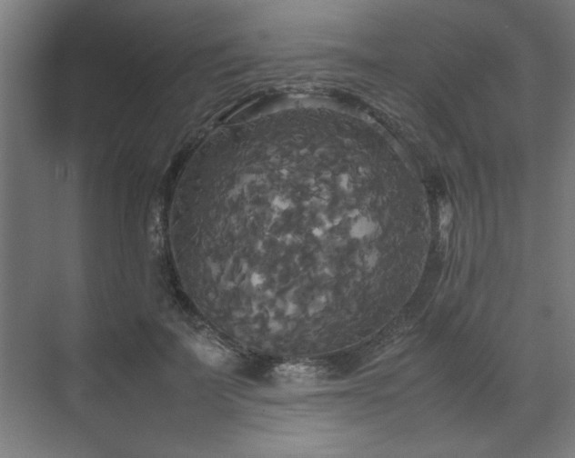 X0000072520699200607141158