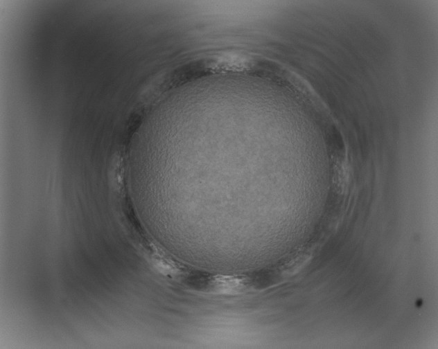 X0000072520701200607141158