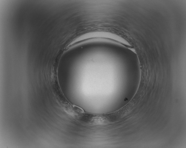 X0000072520704200607141158