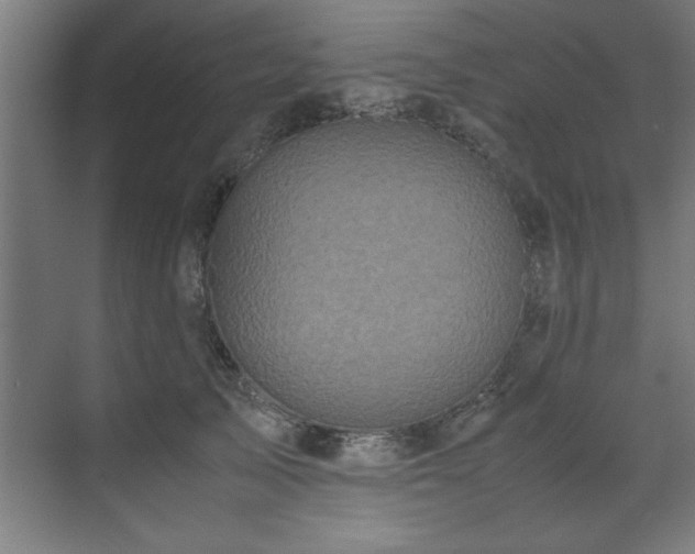 X0000072520705200607141158