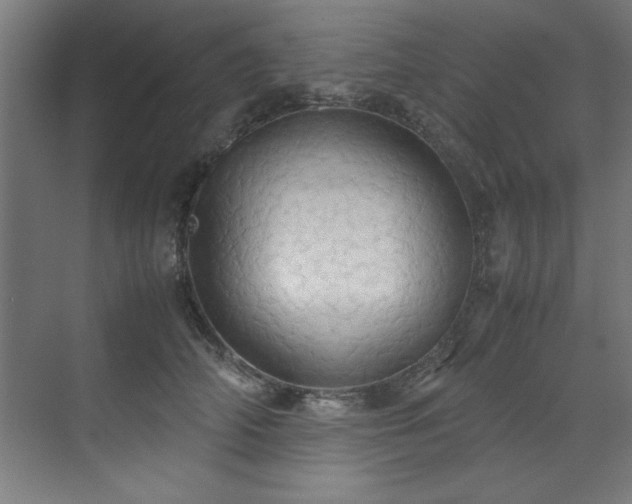 X0000072520706200607141158