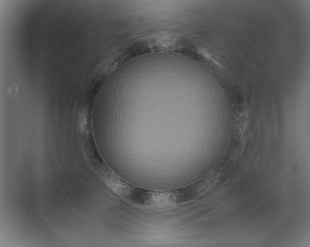 X0000072520709200607141158