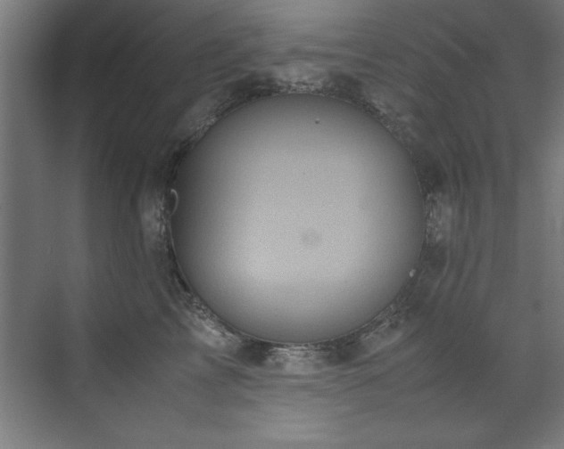 X0000072520713200607141158