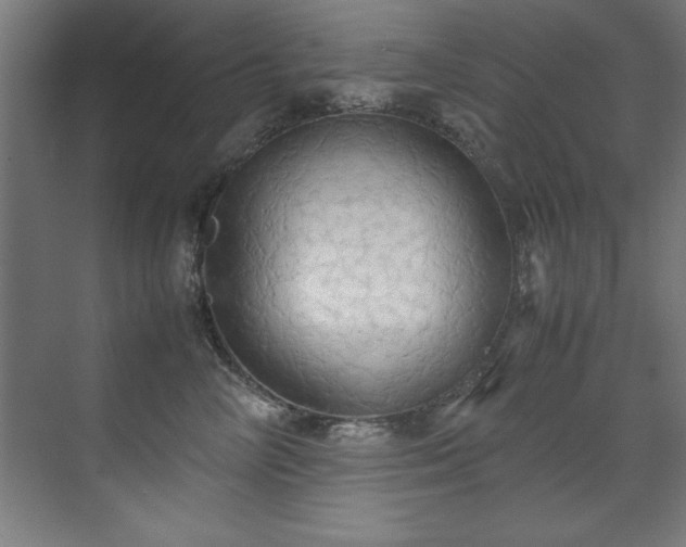 X0000072520714200607141158