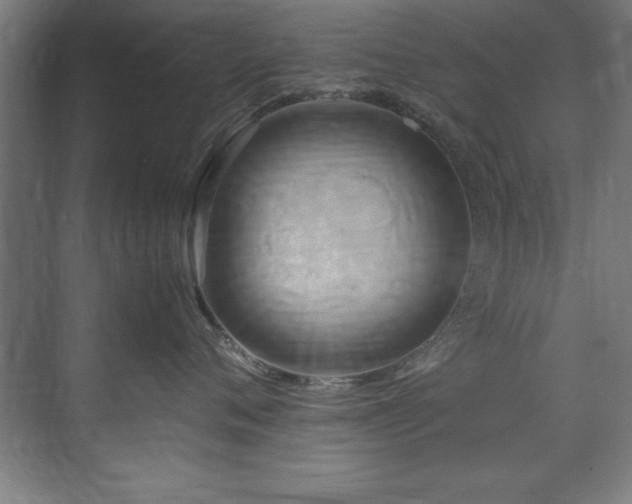 X0000072520720200607141158