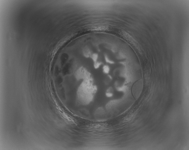 X0000072520721200607141157