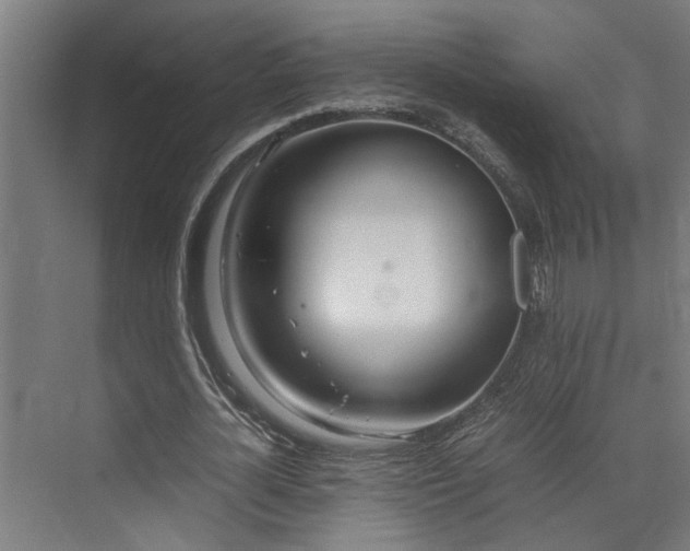 X0000072520724200607141157