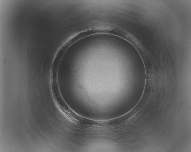 X0000072520726200607141157