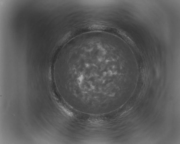 X0000072520729200607141157