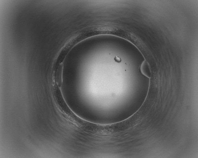 X0000072520731200607141157