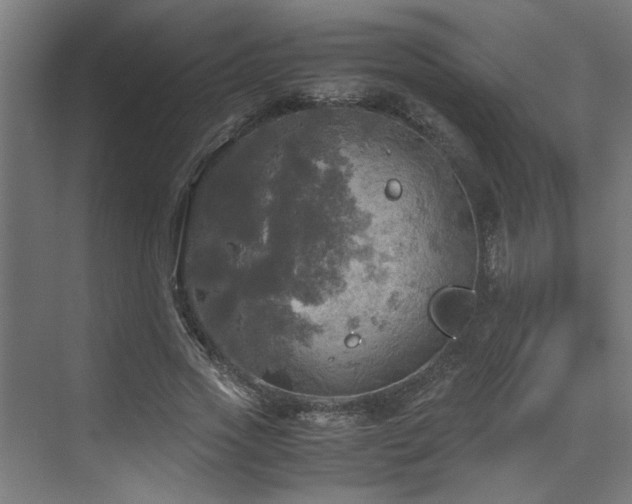 X0000072520733200607141157