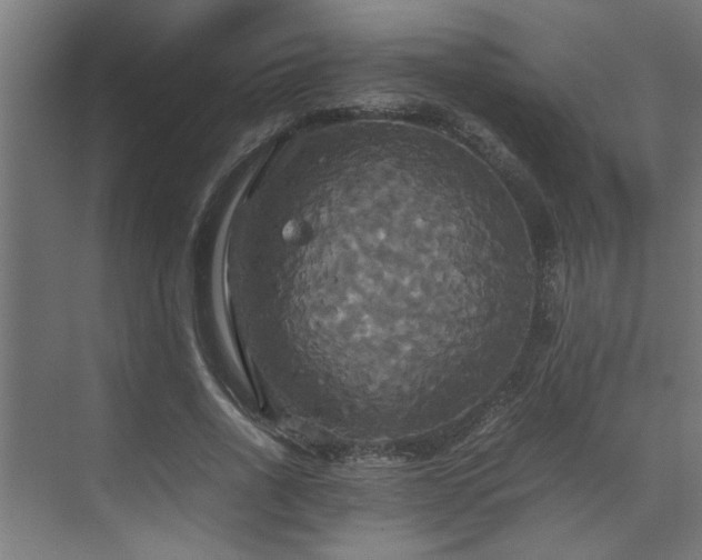 X0000072520734200607141157