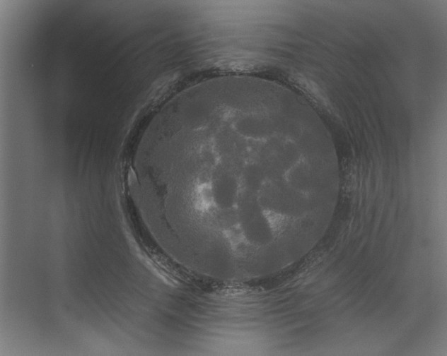 X0000072520738200607141157