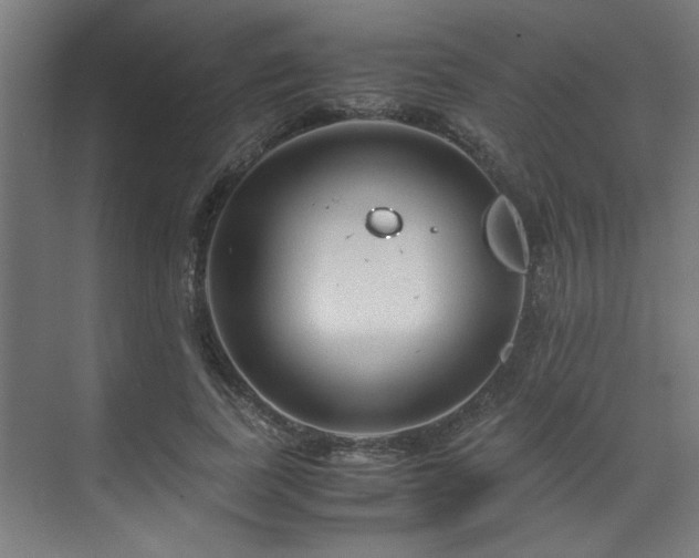 X0000072520739200607141157