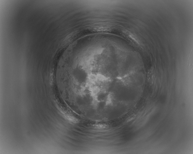 X0000072520741200607141157