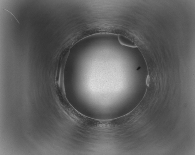 X0000072520744200607141157