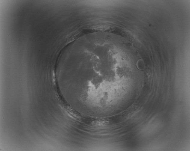 X0000072520745200607141157