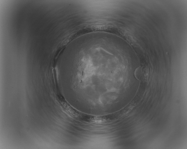 X0000072520746200607141157