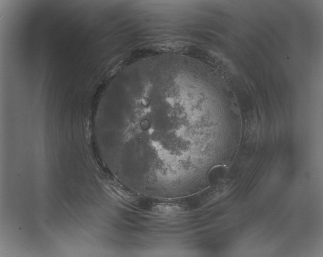 X0000072520749200607141157