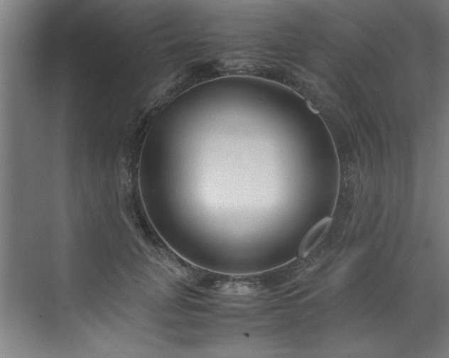 X0000072520751200607141157