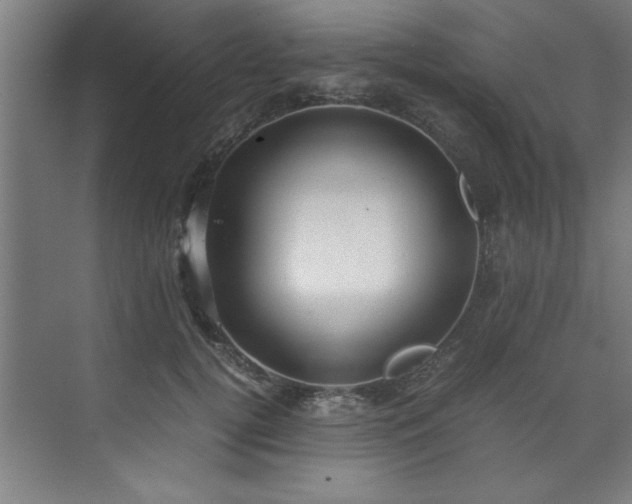 X0000072520752200607141157