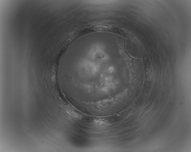 X0000072520753200607141157