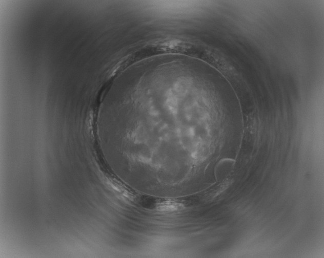 X0000072520754200607141157