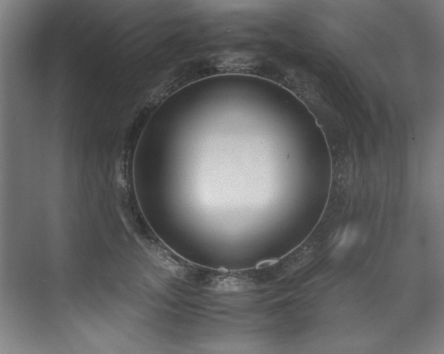 X0000072520755200607141157