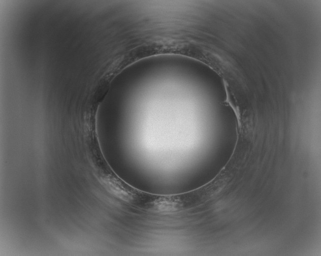 X0000072520756200607141157