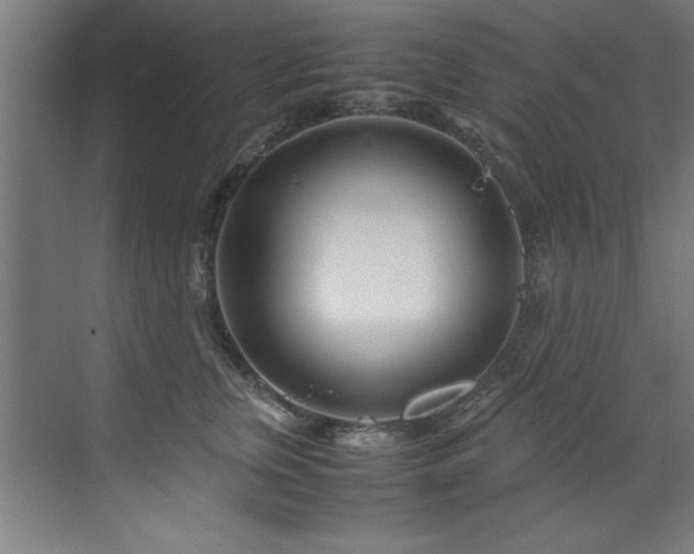 X0000072520759200607141158