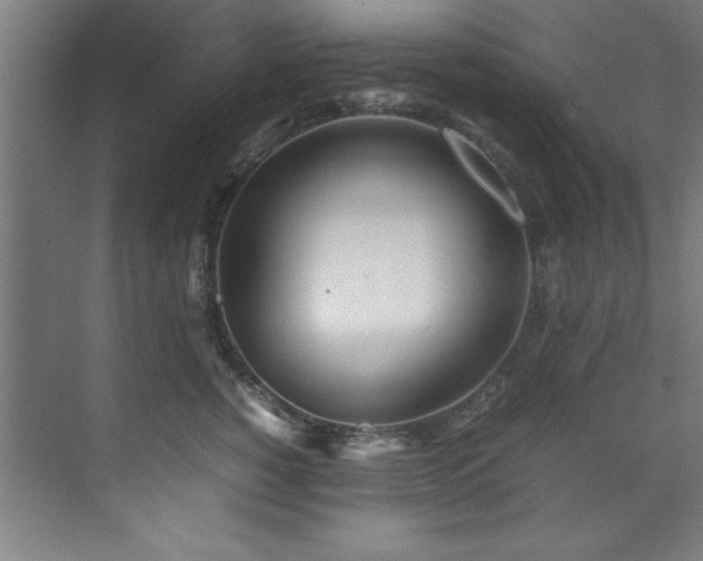 X0000072520760200607141158