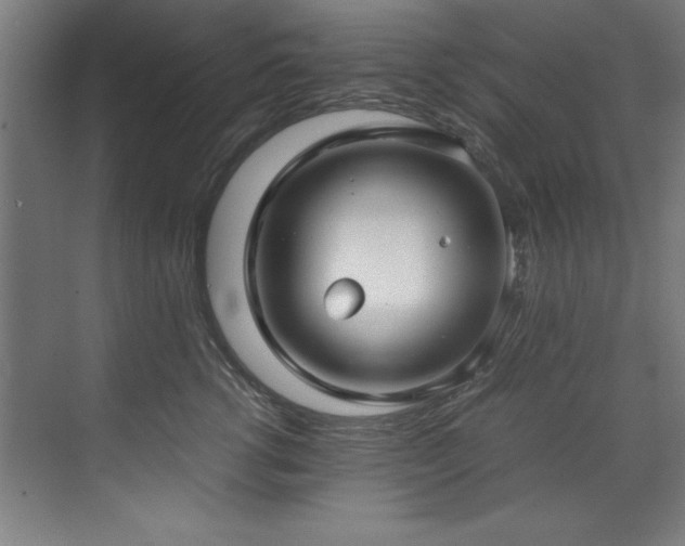 X0000072520762200607141158