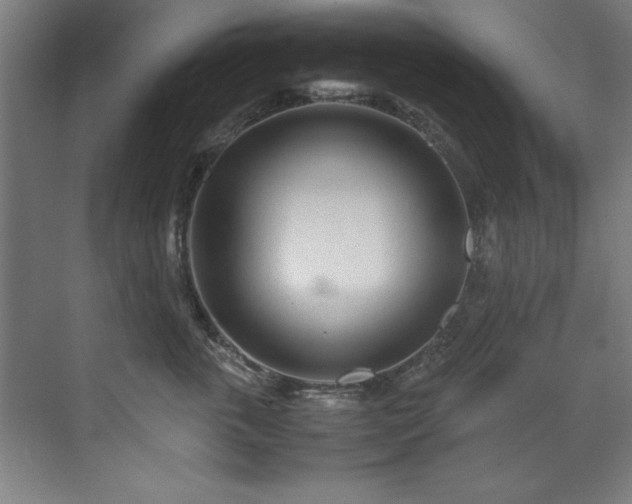 X0000072520763200607141158