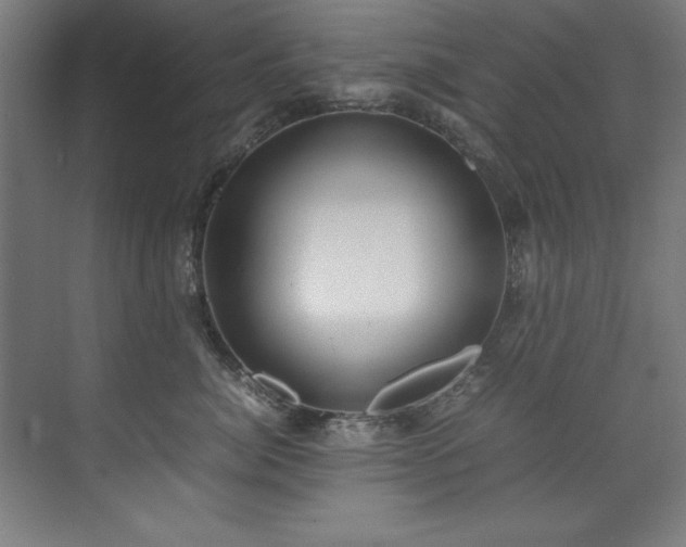 X0000072520764200607141158