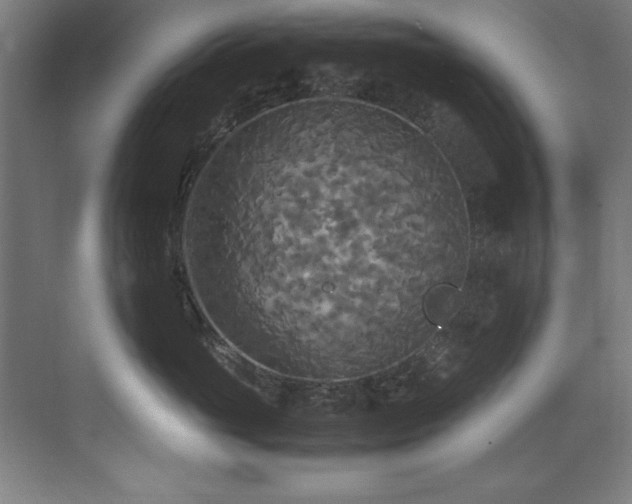 X0000072520765200607141158