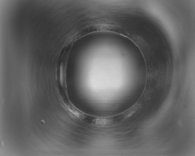 X0000072520766200607141158