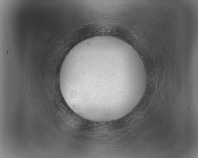 X0000072520769200607141157