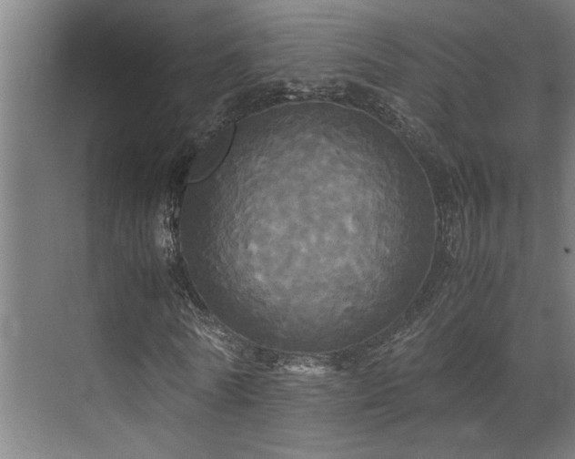 X0000072520770200607141157