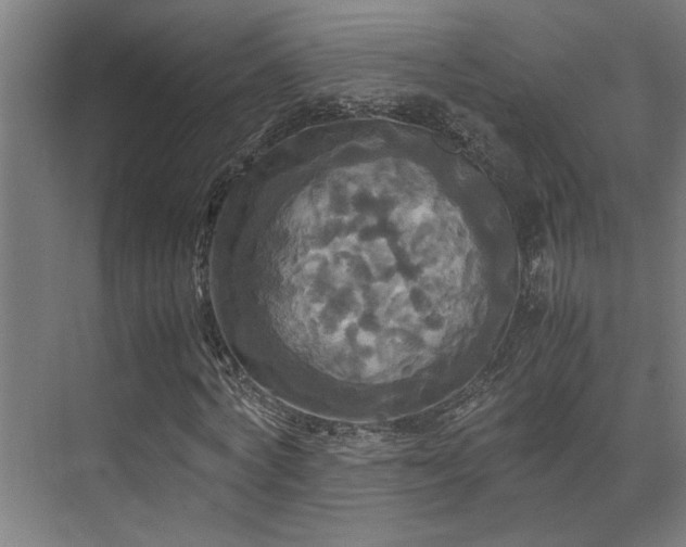 X0000072520772200607141157