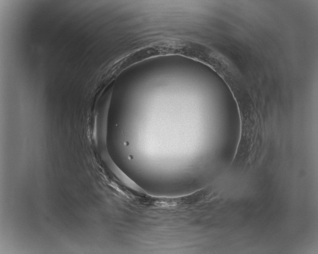 X0000072520773200607141157