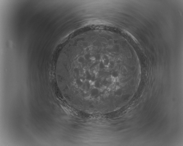 X0000072520775200607141157