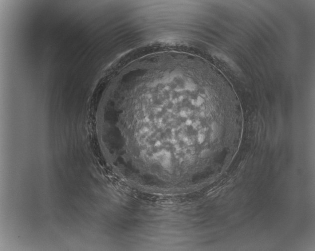 X0000072520776200607141157