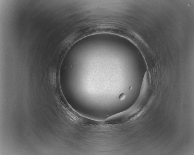 X0000072520777200607141157