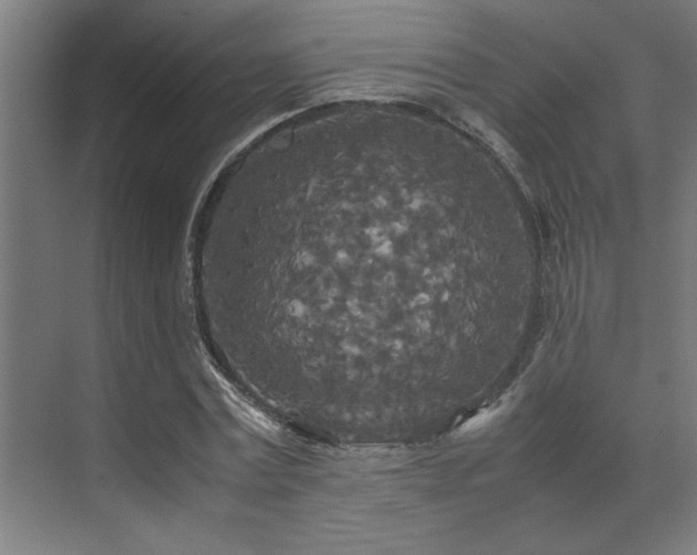 X0000072520779200607141157