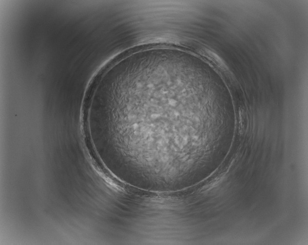 X0000072520780200607141157