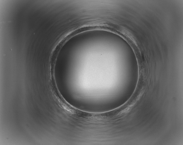 X0000072520781200607141157